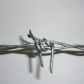 Galvanized Double Strand Barbed Wire Common Twist